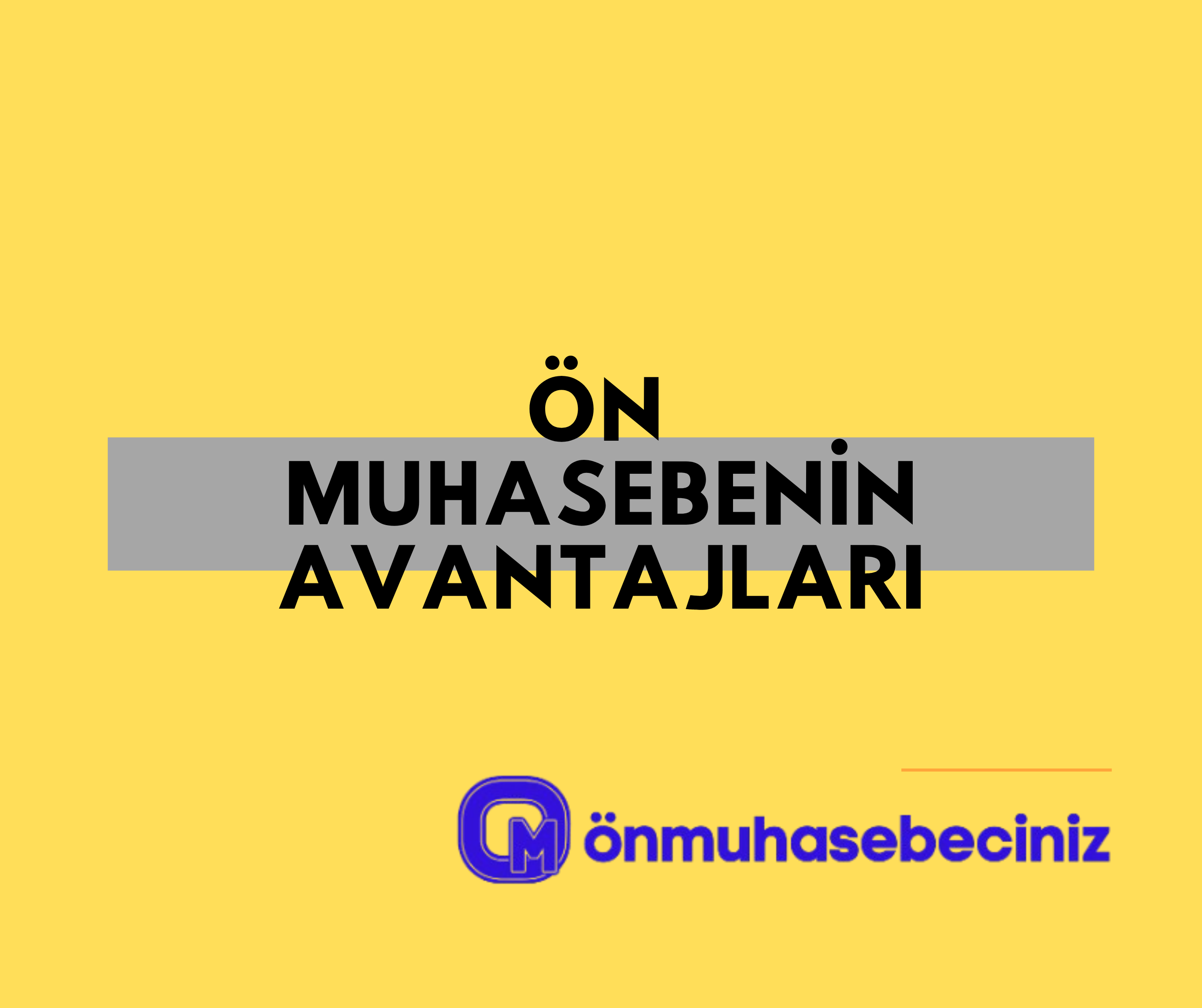 Ön muhasebe programı